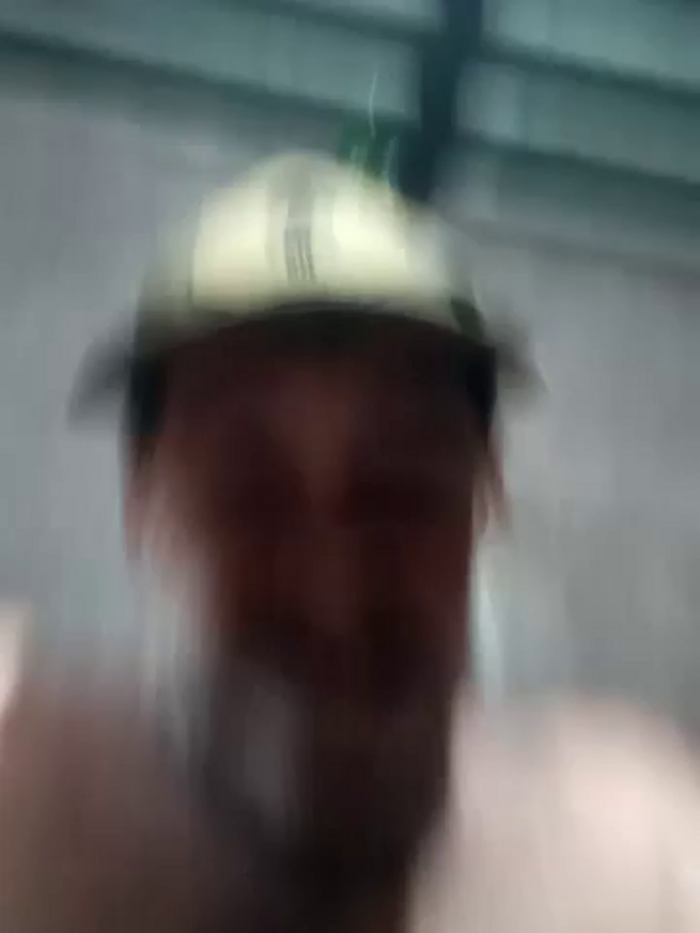 Peludo173317