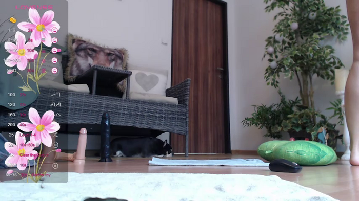 Squirtmania