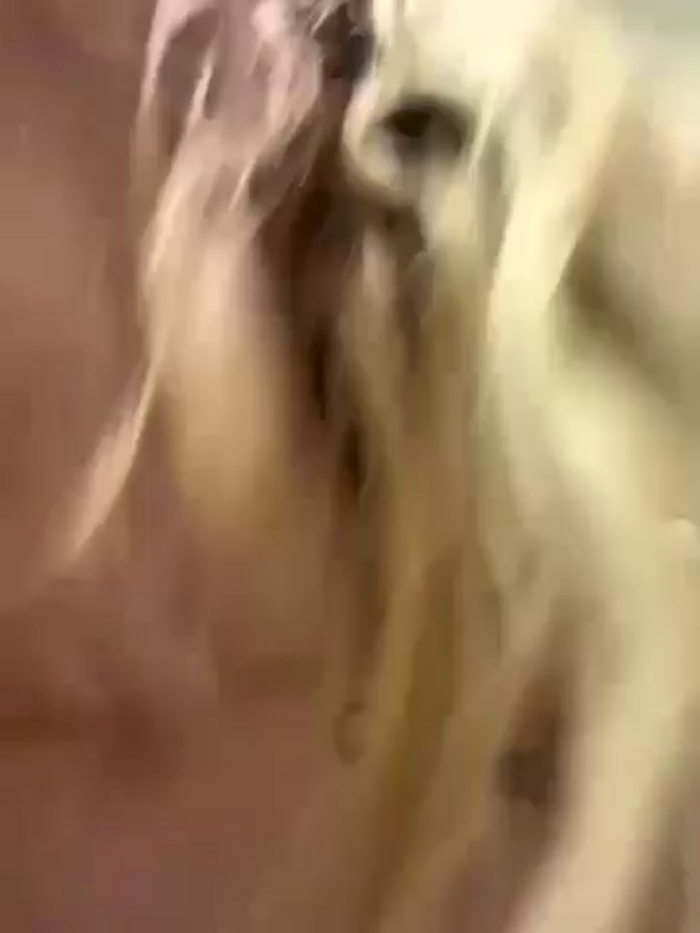 Kira_Miu
