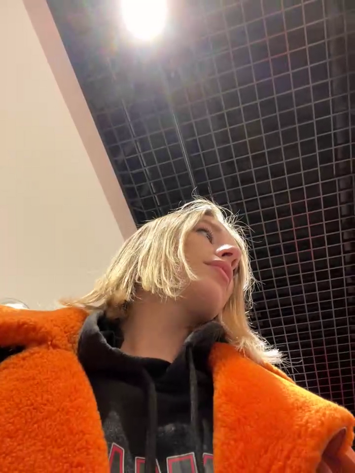 SSSATIVA_model