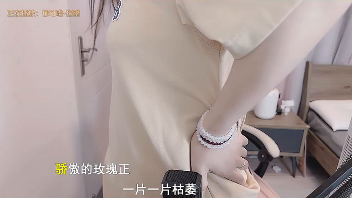 -z_xinxin