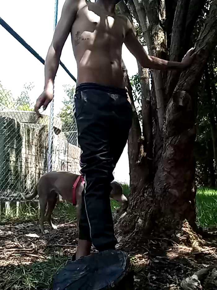 jamelatin20cm