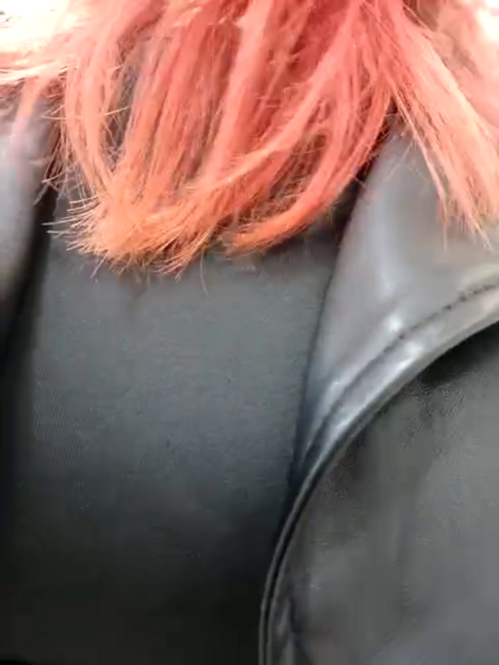 Frost_foxy