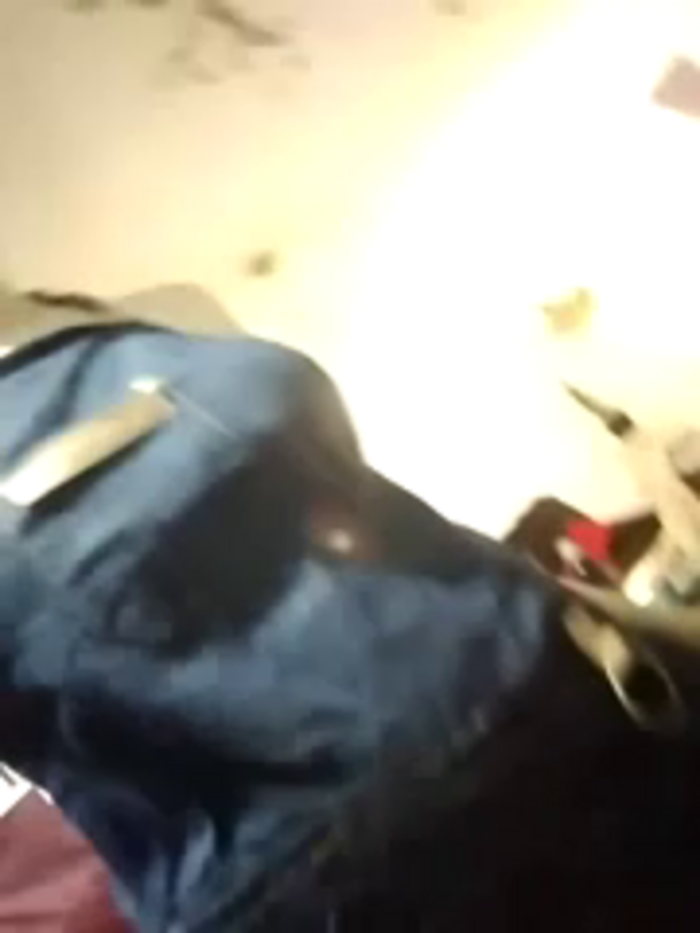 Kleopatracolo