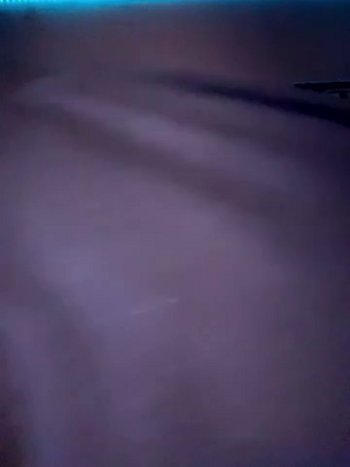 miacanela_xo