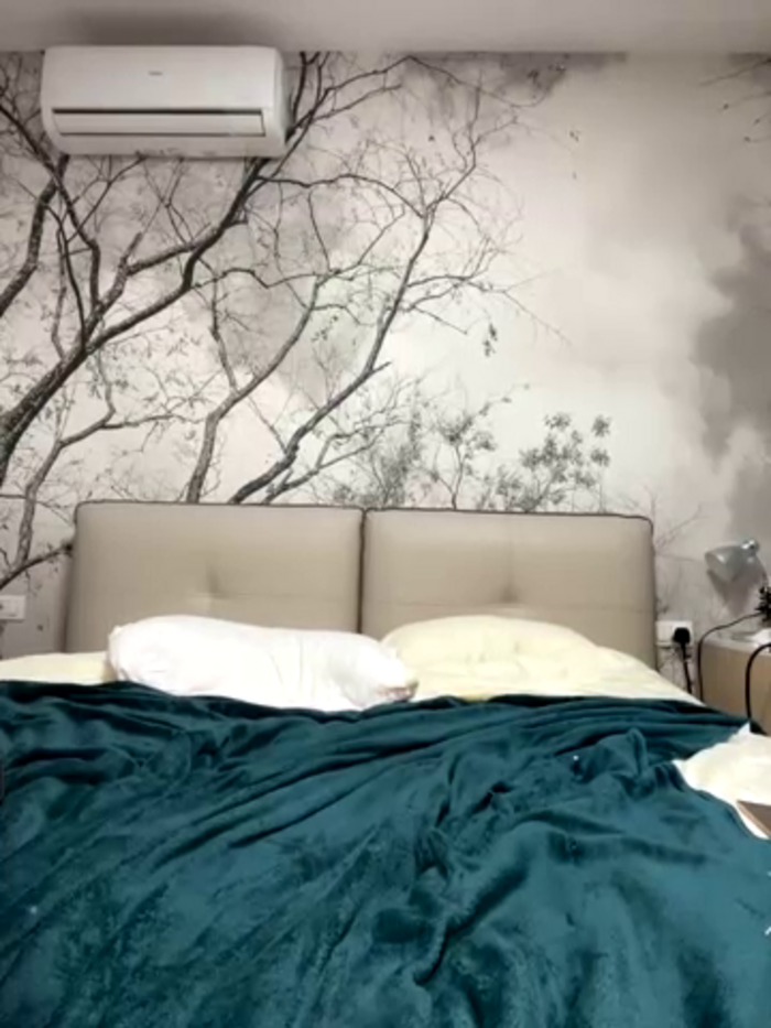 PetiteElise_xcx