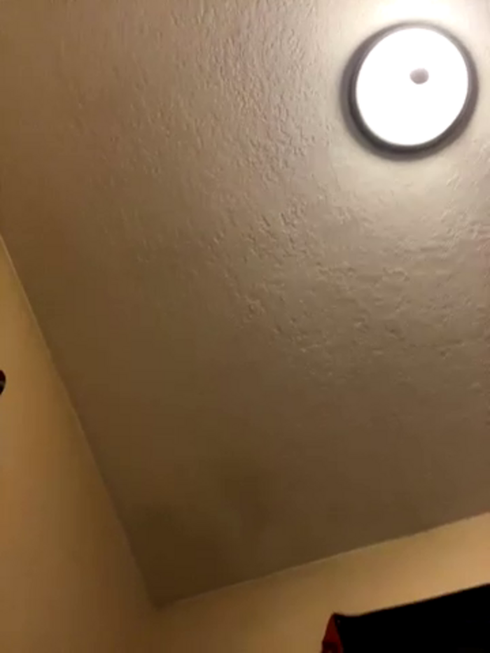 macchiatoD