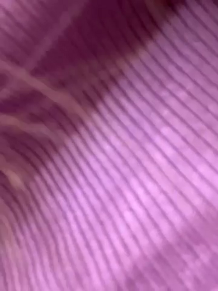 AmmyHot