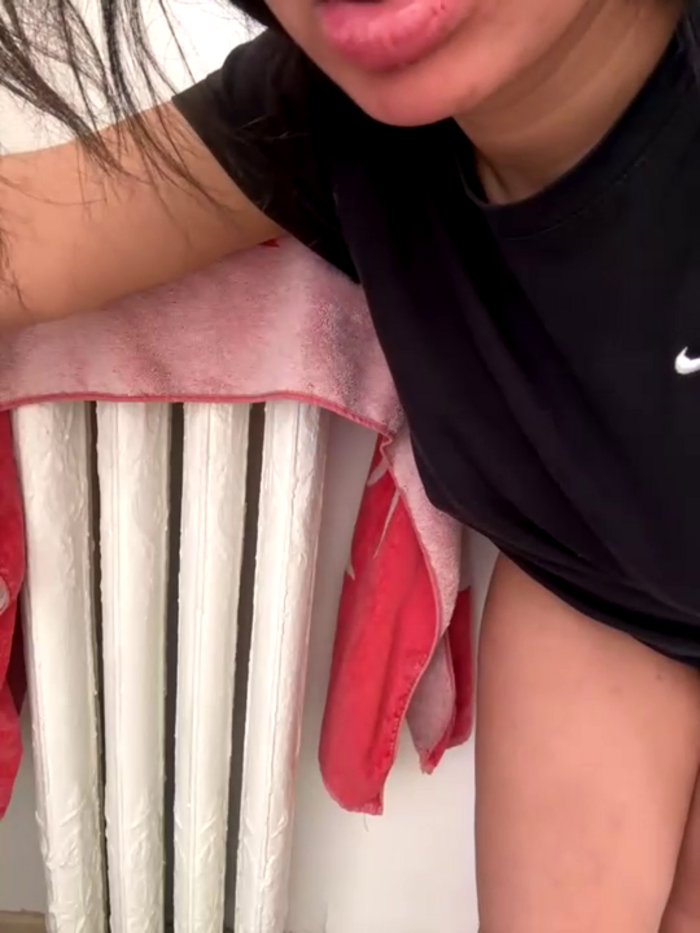 inesXV