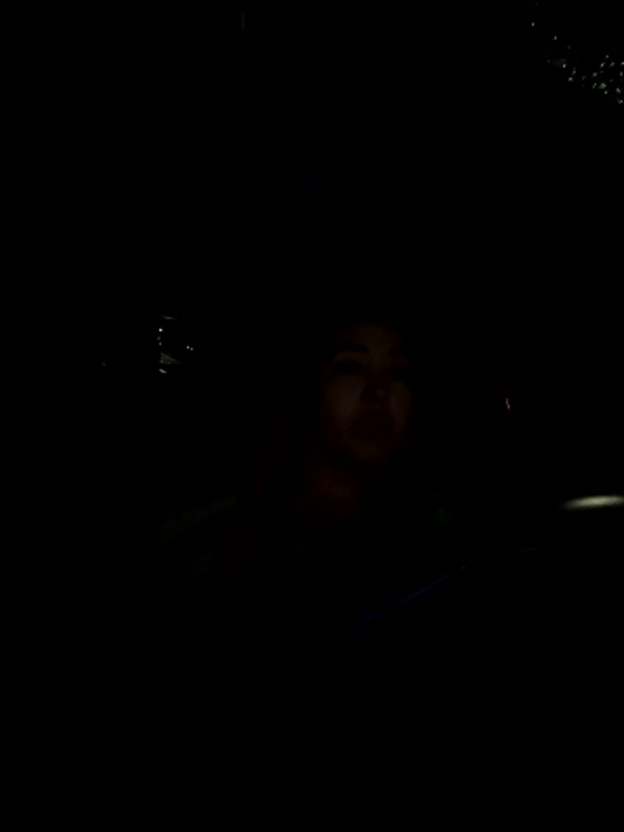 Alexa_fort