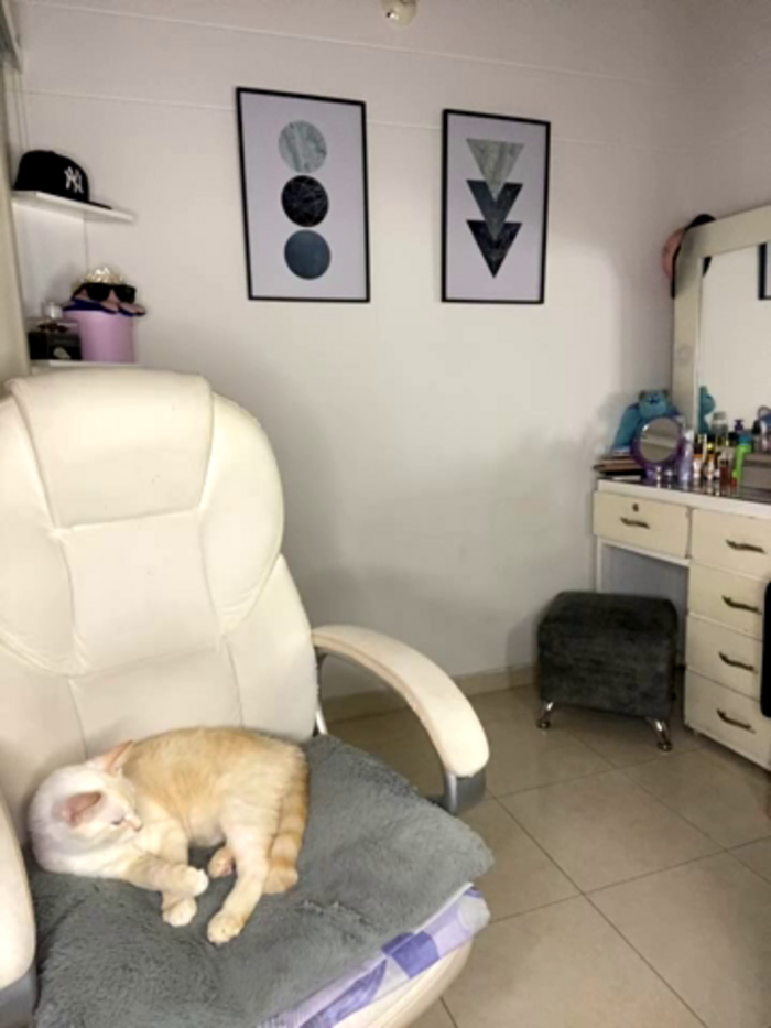 LynnSam_