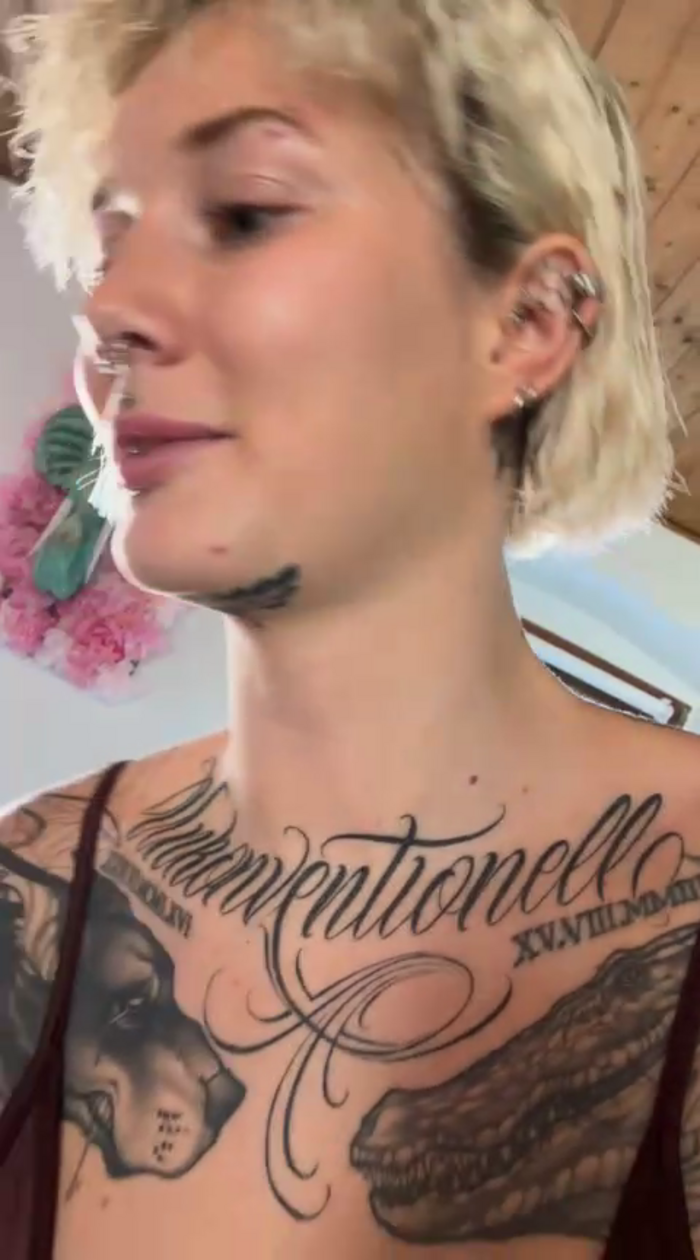 Stella-Kink