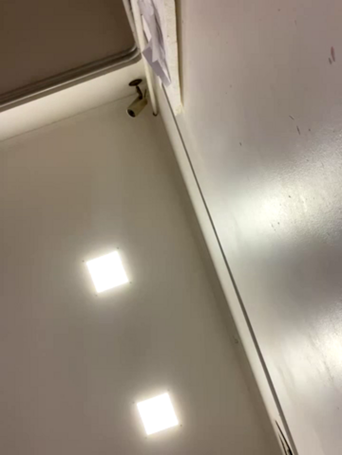 Gatitacarlita