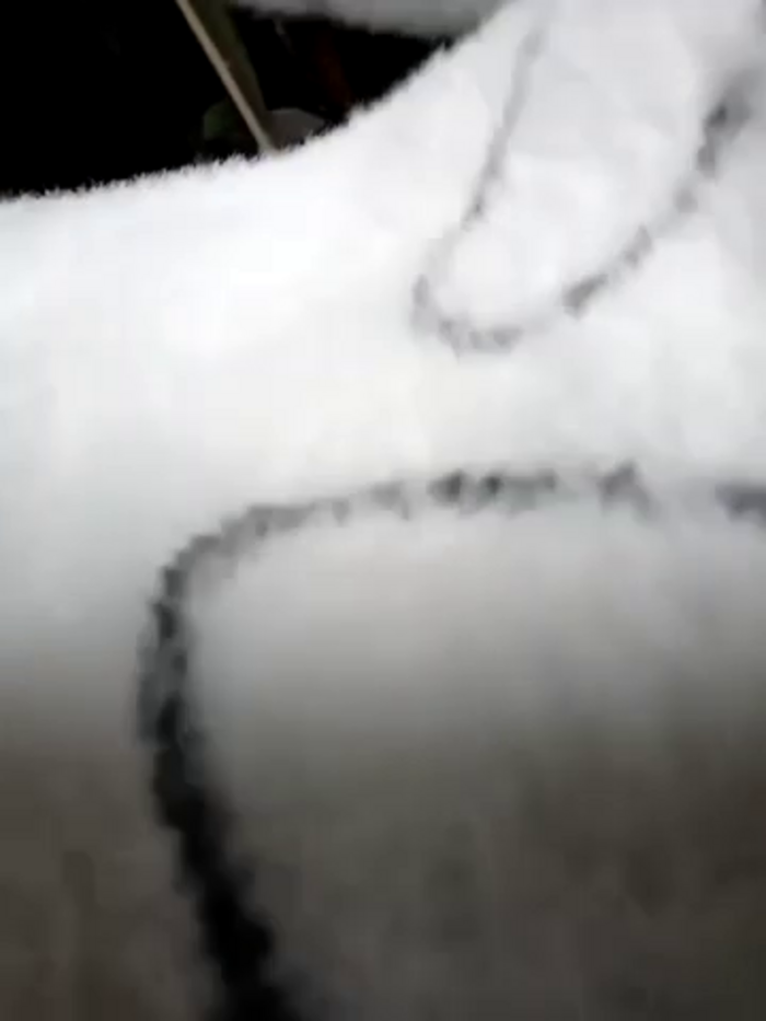 AliceNew