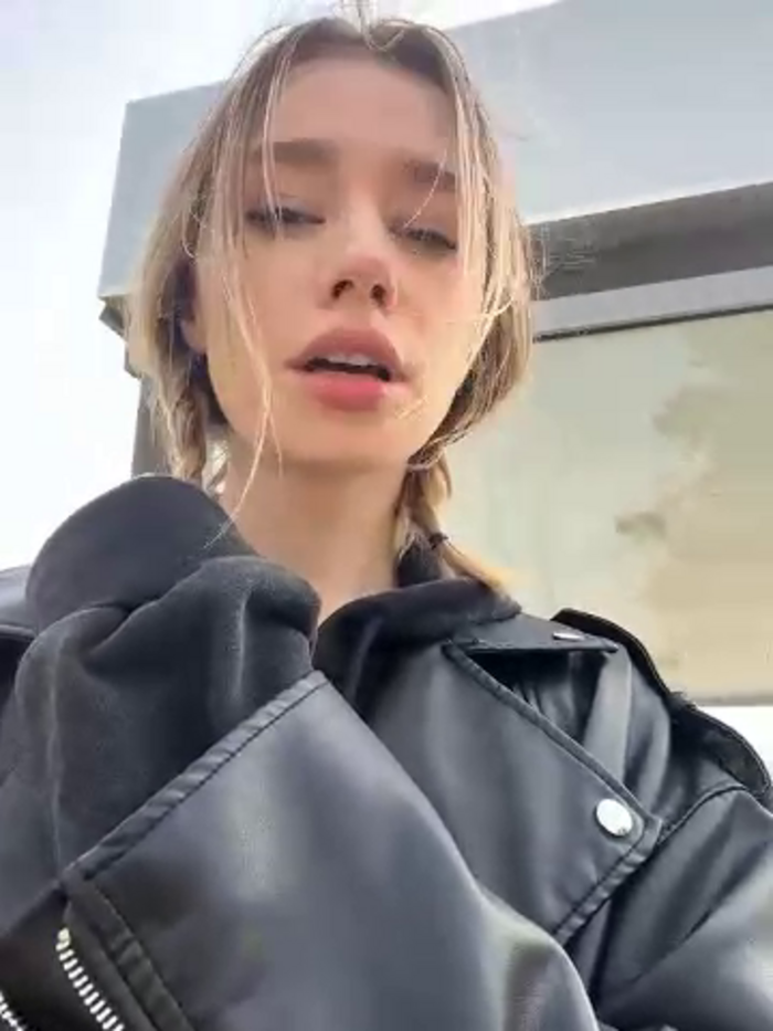 SSSATIVA_model