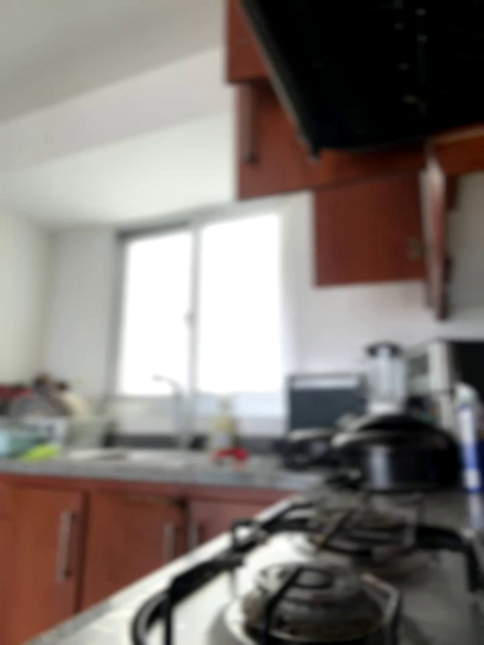 horny_roomiess