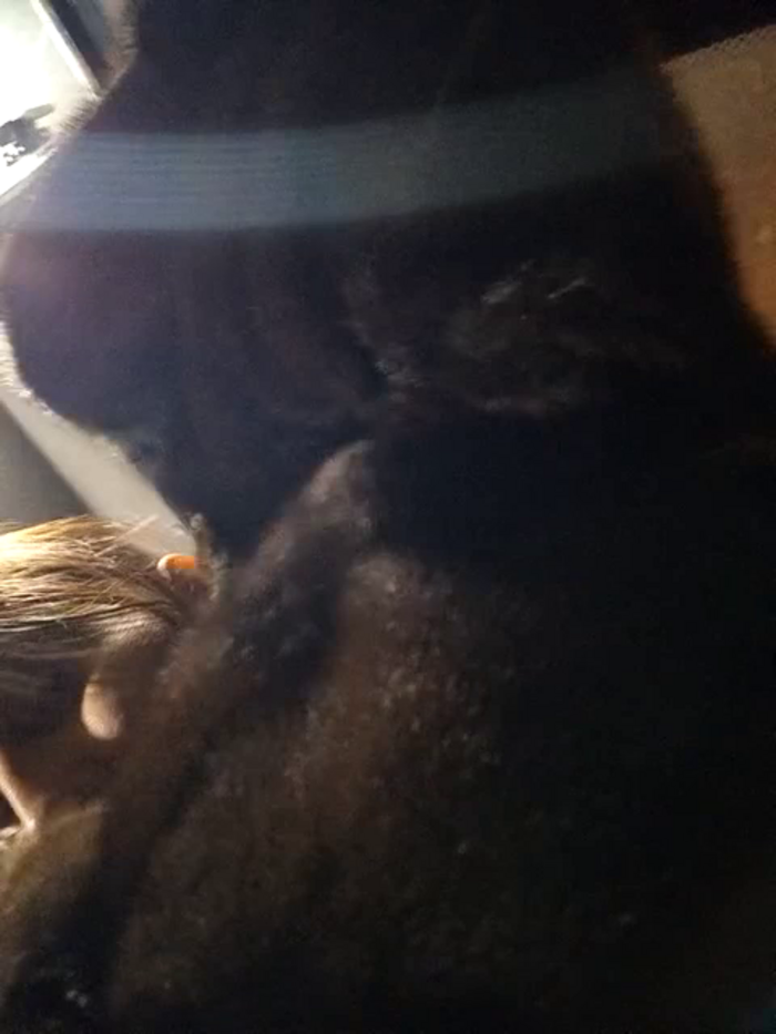 RoxolanaSexy
