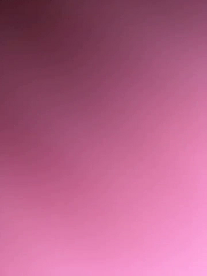 Barbarica