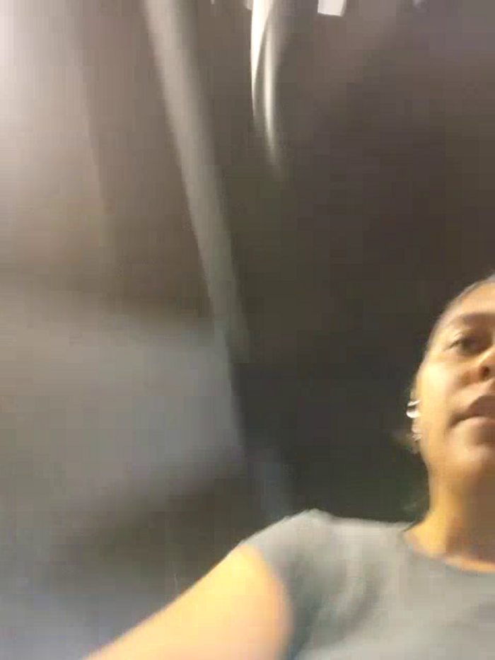 PauletteLove