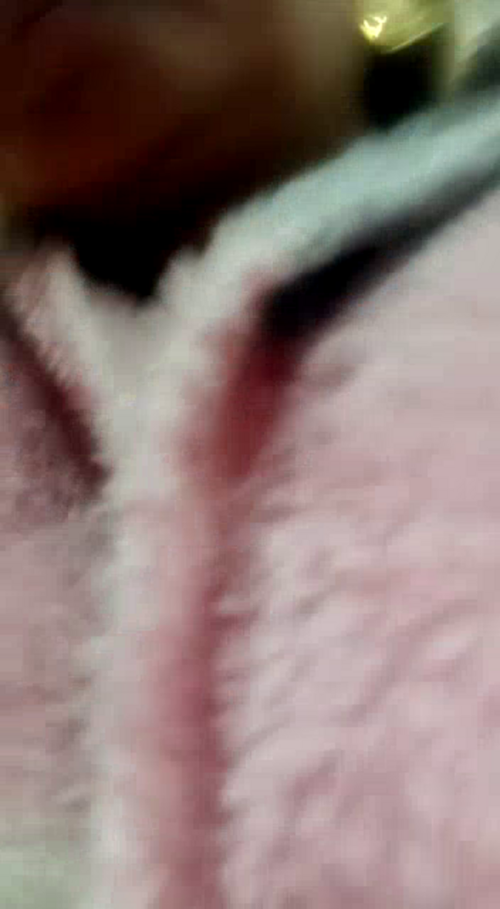 AlessadraJones