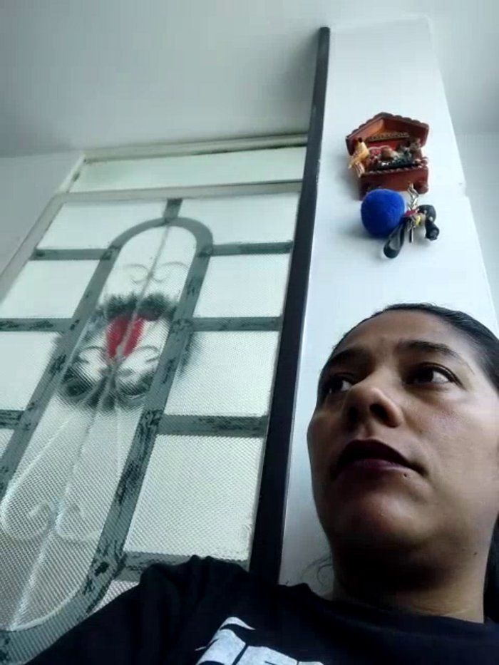 PauletteLove
