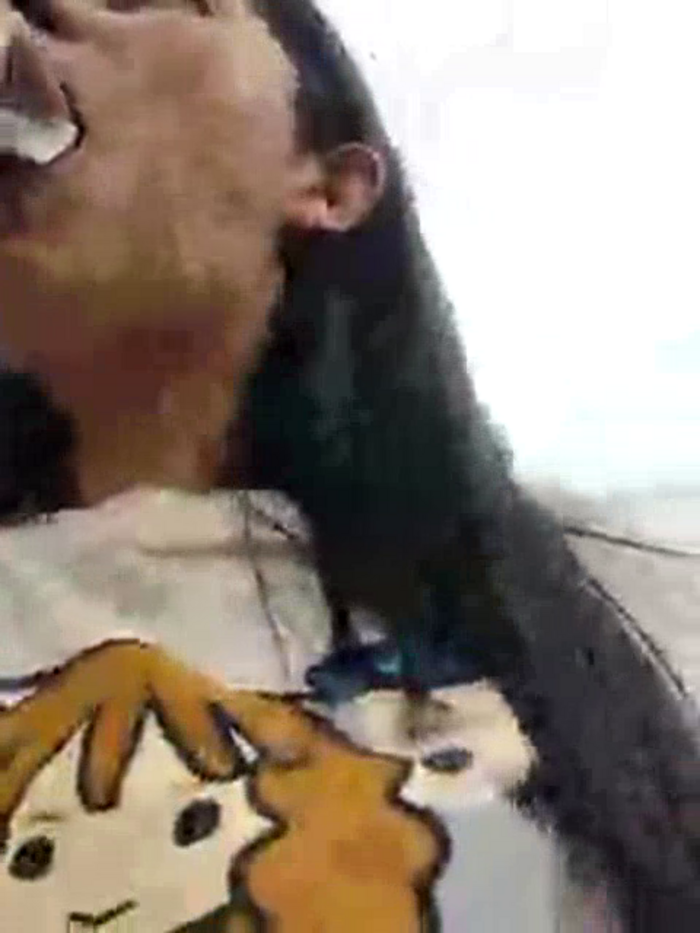 PauletteLove