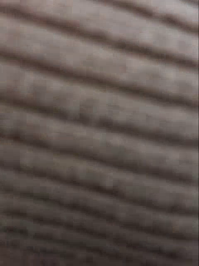 AlessadraJones
