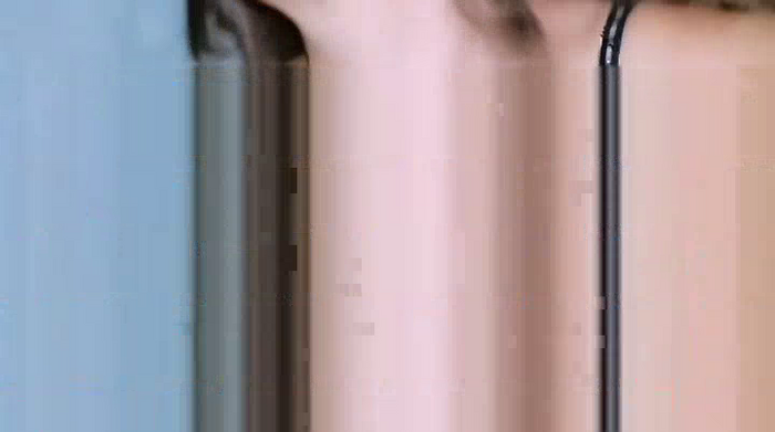 LadyAndTransy