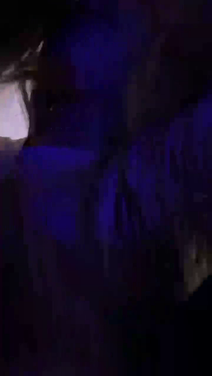 AlicePrings